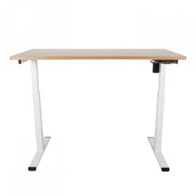 Electric Adjustable Standing Computer Furniture Desk