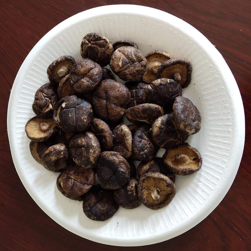 Champignons Shiitake frit de qualité