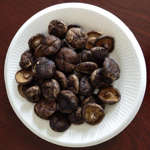 Quality Fried Shiitake Mushrooms