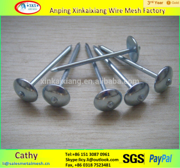 2.5"*BWG9 electro galvanized umbrella roofing nail