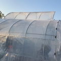 Pequeño invernadero de plástico con ventilaciones superiores