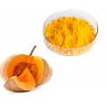 Private Label Quality Bulk Pumpkin Juice Powder