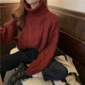 Women Chunky Turtleneck Sweaters