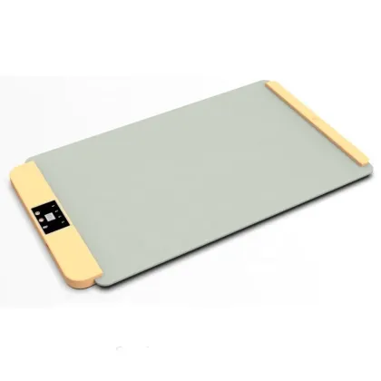 Warm Technology Insulation Board Meal Heating Plate