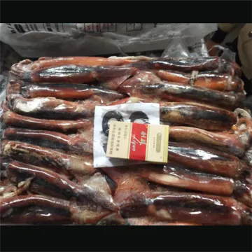 Whole Round Squid Illex Argentinus Squid Frozen 100-200
