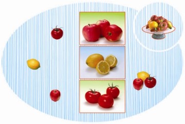 PP Placemat for Kitchen 161