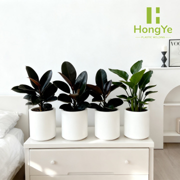 أربع أواني زهور مستقيمة مختلفة الحجم