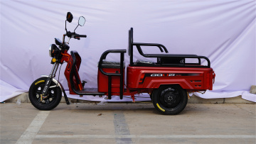 1.2m Small Cargo Box Electric Tricycle