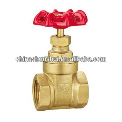 SS10201 kitz gate valves