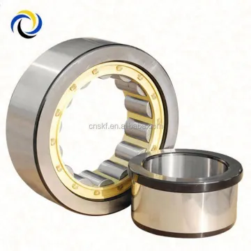 Cylindrical Roller Bearing NJ309V/C3 Hot Selling