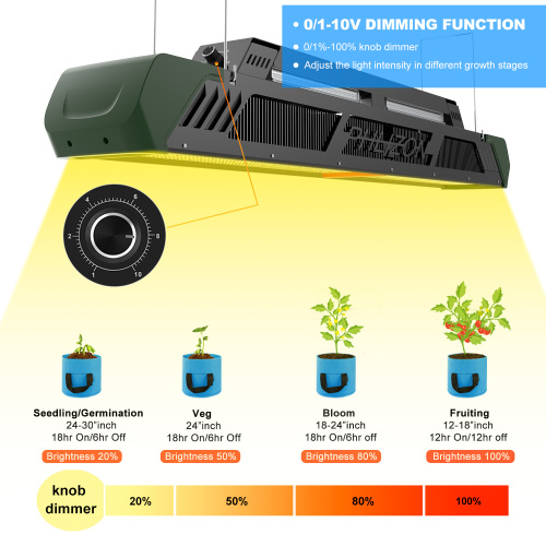 GreenHouse suplementar levou topo iluminação 640W