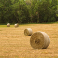 Plastik Hay Bale Betting Wetting