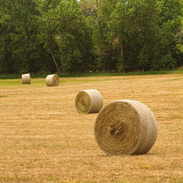 Kunststoff Hay Bale Wrap Netting