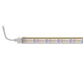 OEM ODM LED বৃদ্ধি আলো