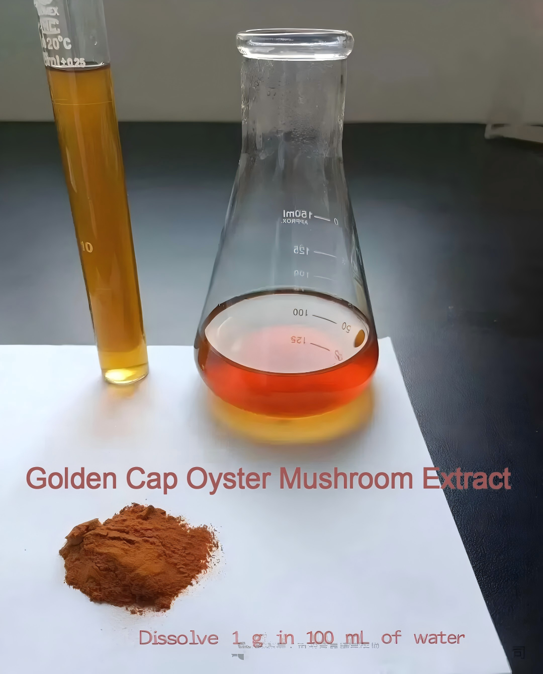 golden-capped oyster mushroom