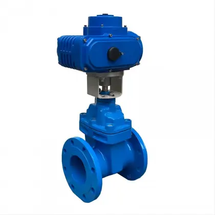 DN25-DN300 Electric gate valve