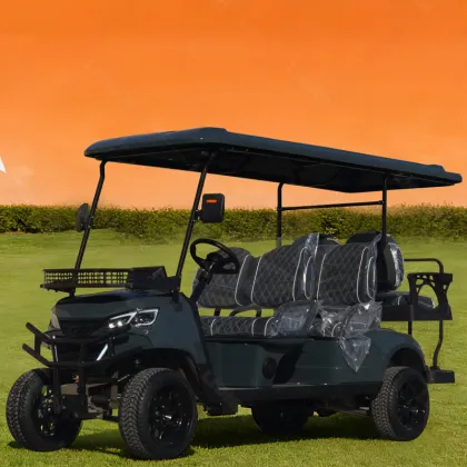 6 Seater Golf Cart Sightseeing Vehicle