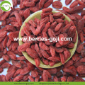 Perdre du poids Natural Dried Nutrition Tibet Wolfberry