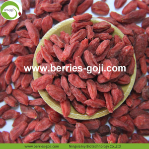 Perder peso Natural Dried Nutrition Tibet Wolfberry