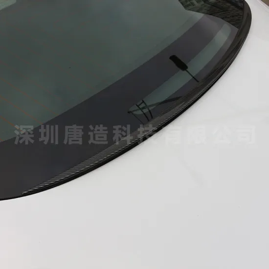 Tesla Model 3 Rear Window & Trunk Tail Wing Leakage Prevention Accessories: Water Bar and Modification Kits