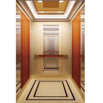 6 Person Passenger Elevator Brands