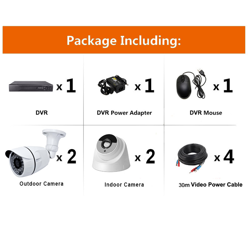 Surveillance System