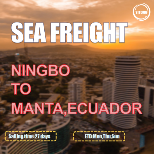 Ocean Freight Service da Ningbo a Manta Ecuador