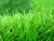 Better than nature football artificial grass