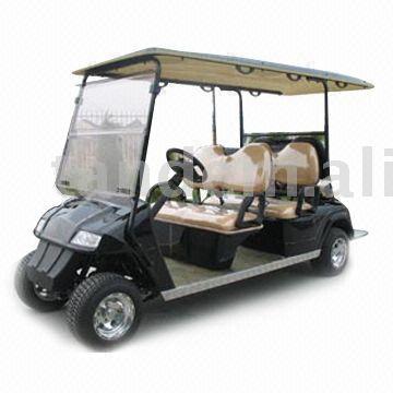 Electric Golf Cart with Seat Facing Backwards