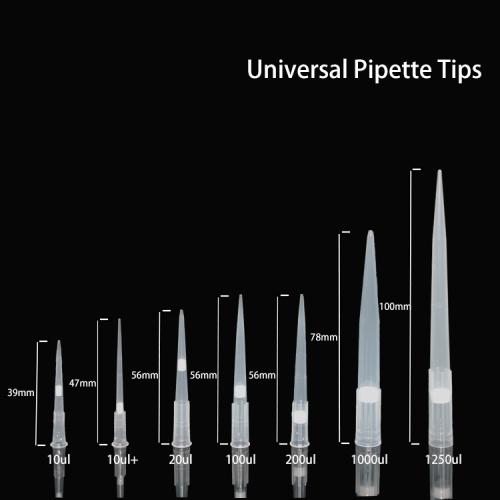 Pipette -Tipps und Pipettenfilter -Tipps