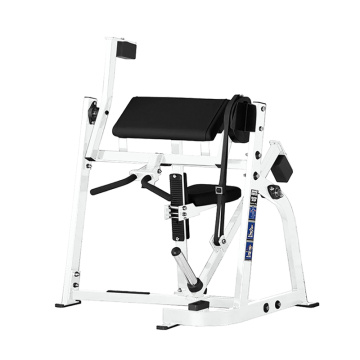 Plate Loaded Hammer Strength Machine Seated Biceps