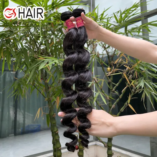 GS Cheap Raw Vietnamese Hair Bundle Vendor: Double Drawn Cuticle Aligned Virgin Hair Extension, Loose Wave Human Hair Bundle" 

However, for better SEO and readability, you might consider:

"GS Cheap Raw Vietnamese Virgin Hair Bundle | Double Drawn Cuticl
