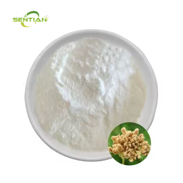 Cnidium Officinale Root Extract Osthole
