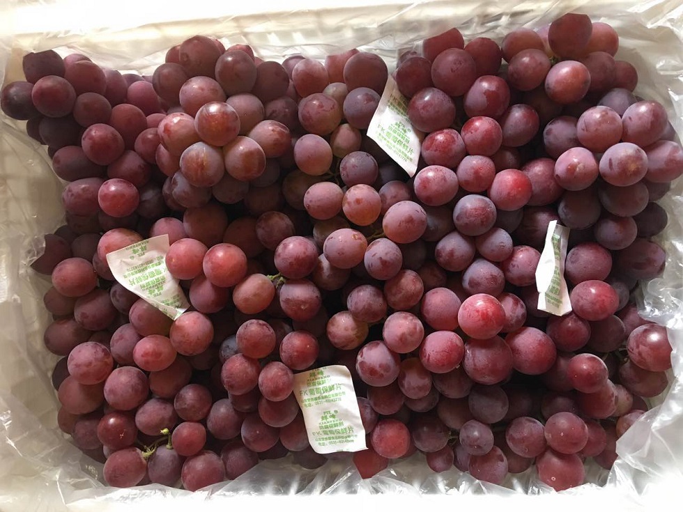 Red Grapes 4