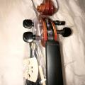 Ebony Fitted Solid Wood Violin