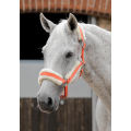 Wholesale Horse Halters Custom Handy Halter For Horses