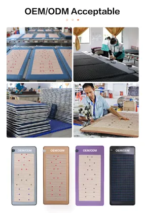 Wellness And Relaxatio Health Care Equipment PEMF Mat