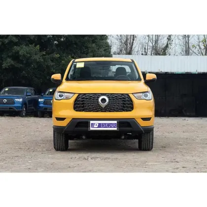 2022 2.0T Great Wall Poer Used Pickup