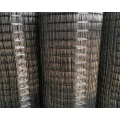 Electro Galvanized Welded Wire Mesh Black Wire Welded Wire Mesh Manufactory