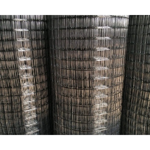 Electro Galvanized Welded Wire Mesh Black Wire Welded Wire Mesh Manufactory