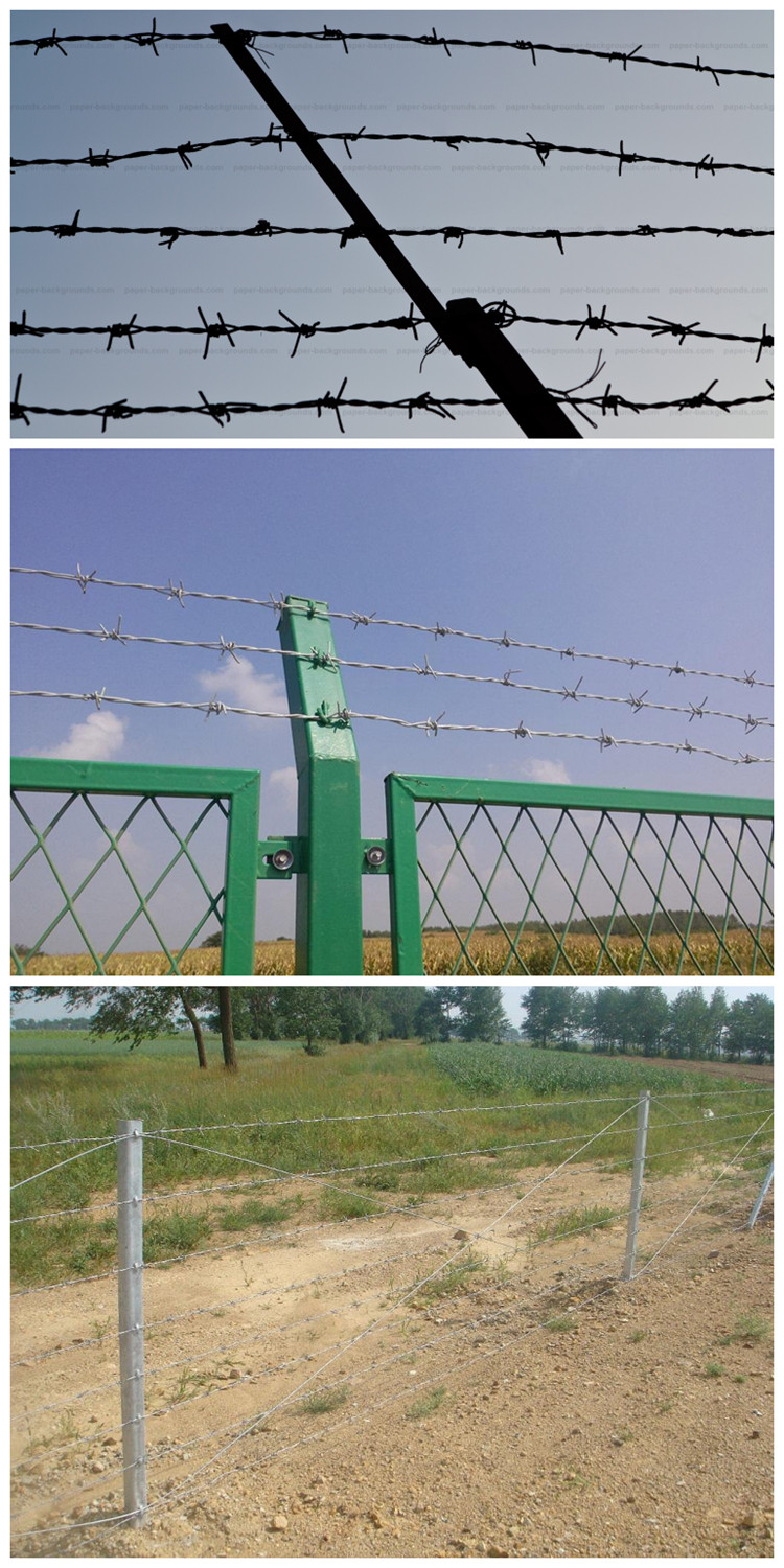 Barbed wire (2)