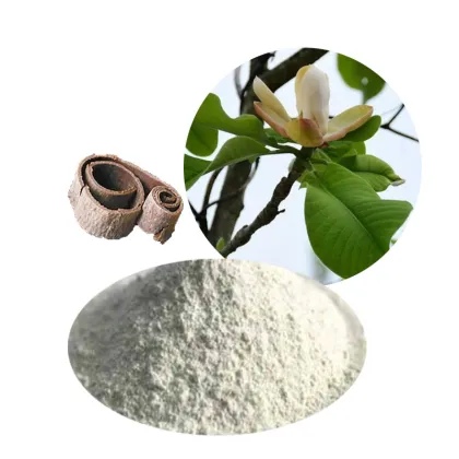 Magnolia Officinalis Extract Powder