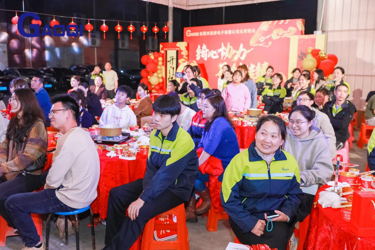 Dongguan Gaoqi Electronics Co.Ltd