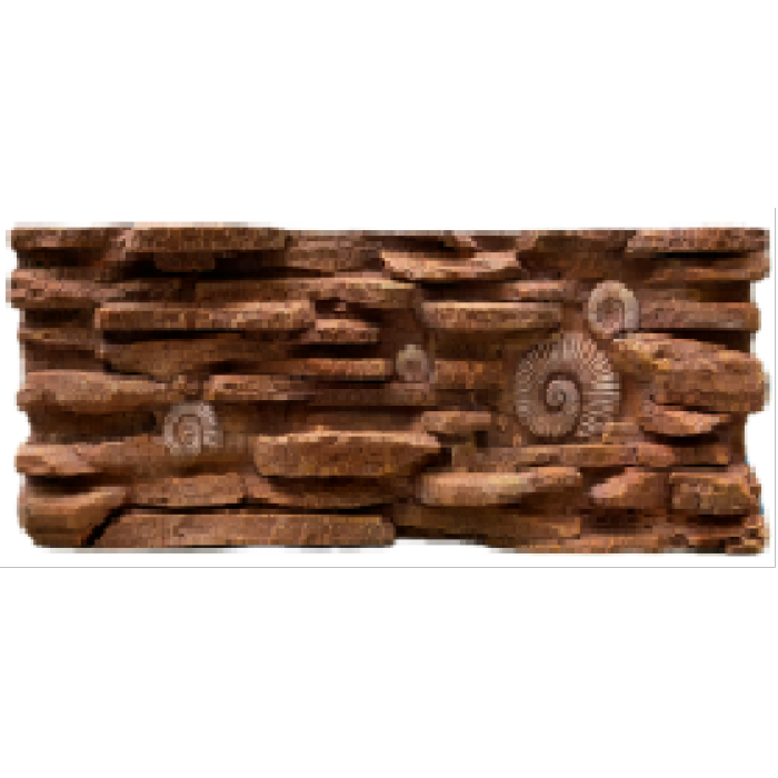 Placa de fundo fóssil de animais marrons