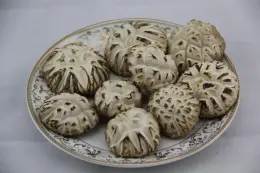Drieid White Flower Shiitake Mushroom