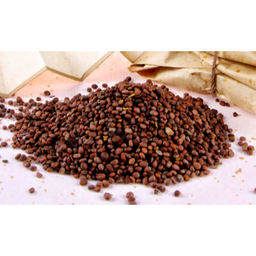 Natural Support Digestive Health Raphani Semen Extract