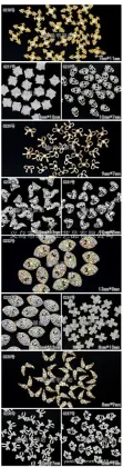 Fashion Nail Art Rhinestones Nail Accessories For Nail Supplies
