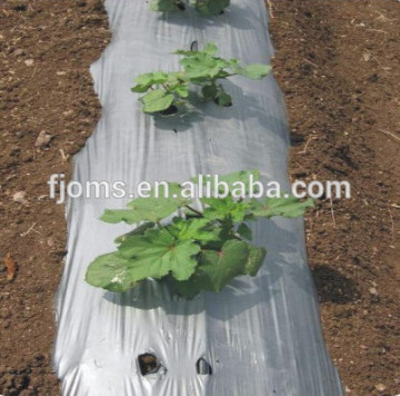 METALALIZED REFLECTIVE MULCH