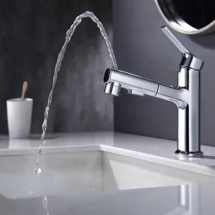 Bathroom Pull Out Faucet