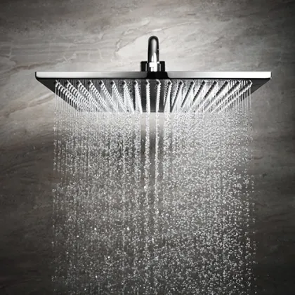 Shower Set with Head & Hand Shower
